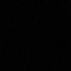 Meet your Posher, Gracie